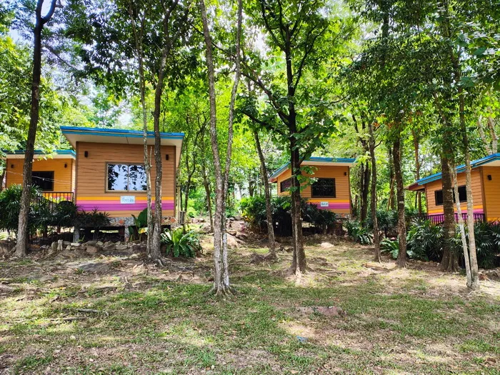 บ้านผึ้งป่า (2 ท่าน) — ผึ้งหลวง แคมป์กราวด์