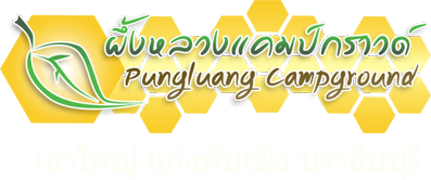 ผึ้งหลวงแคมป์กราวด์ รีสอร์ท, แก่งหินเพิง, เขาใหญ่, ปราจีนบุรี Logo